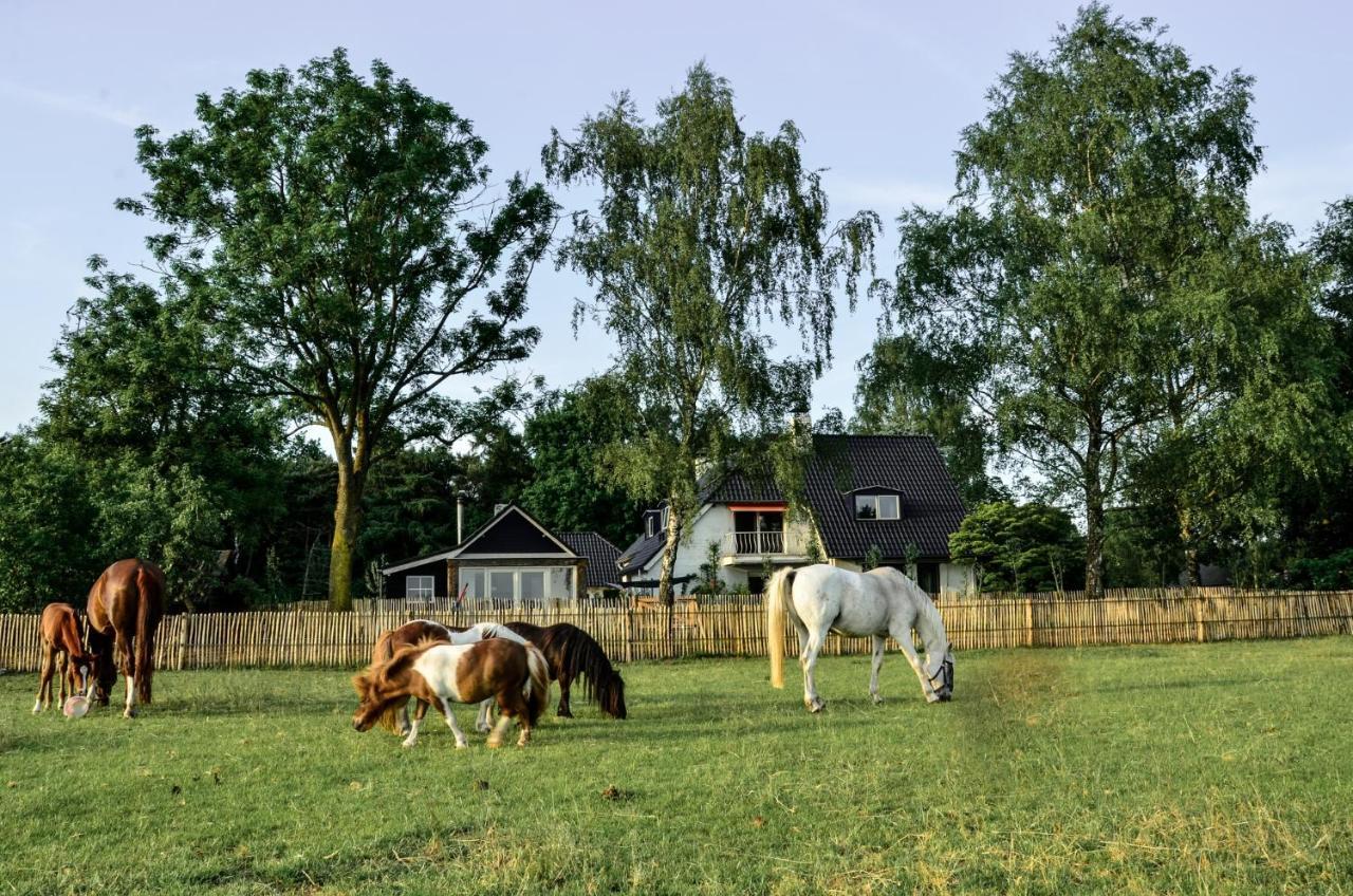Bed & Breakfast De Zandhoef Еерсел Екстериор снимка